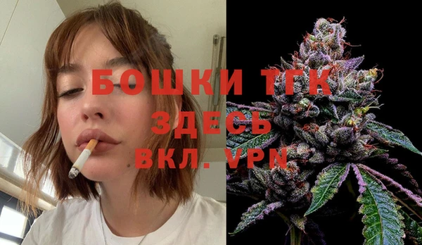 винт Алексин