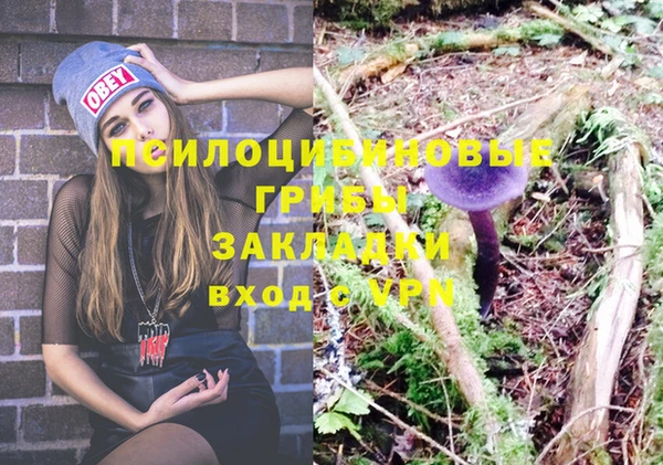 винт Алексин