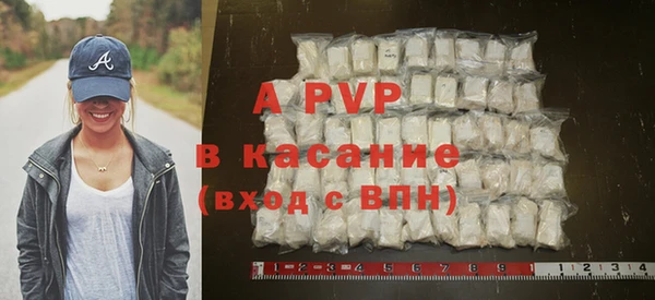 индика Аркадак