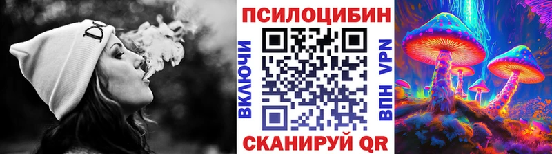 даркнет Telegram  Краснослободск  Псилоцибиновые грибы Cubensis  где найти  